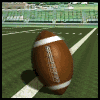 football_spinning_on_field_md_wht_19047.gif